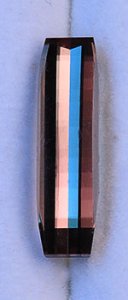 diaspore5101.jpg