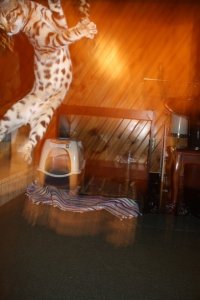 BEGIMG_0193.jpg