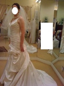 thedress3.JPG