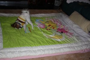 IMG_0368cd.jpg