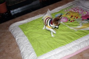 IMG_0367c.jpg