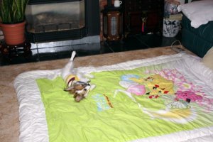 IMG_0369c.jpg
