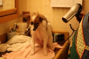 IMG_0508cd.jpg