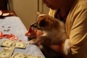 IMG_0554cd.jpg