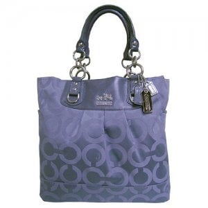 coachbag.jpg