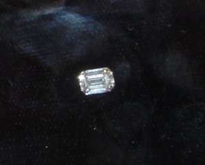 DSC01815-2.JPG
