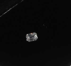 DSC01800-3.JPG