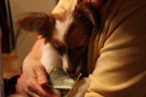 IMG_0569cd.jpg