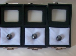 pearls1ksps (2).JPG pearls1ksps (2).JPG