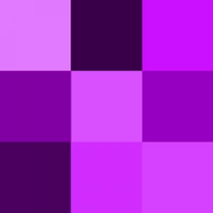 violet 5678.jpg