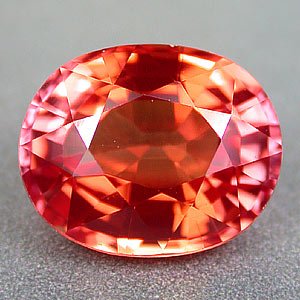 APA025a.jpg