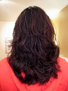cellentani wet hair.JPG