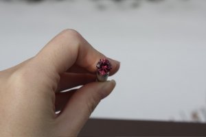 BEGPinkTourm112.jpg
