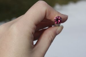 BEGPinkTourm113.jpg