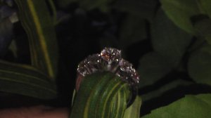 ring picture 2.JPG