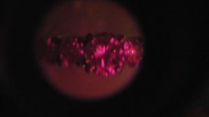 idealscope image 1.JPG