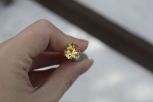 BEGCitrine1.jpg