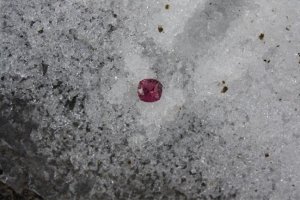 BEGTourmSnow2.jpg