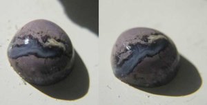 bertsopal.jpg