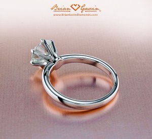 BrianGavin_6Prong2_022510.jpg