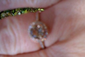 2010-03-02bk-tourm.jpg