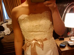 cupcake bodice.jpg