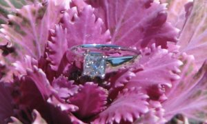 IMG_1324a.JPG