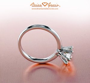 BrianGavin_6Prong1_022510.jpg
