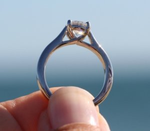 myring001.JPG