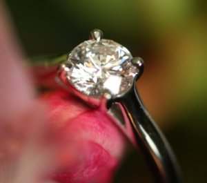 myring002.JPG