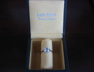 leonbox2.jpg
