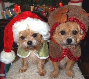 2nd Christmas.jpg