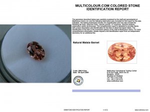 Malaya Garnet Oval Collage.jpg