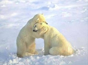 a big hug.jpg