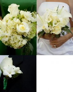 floweepics.JPG