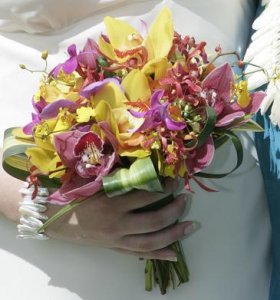 gdboquet.JPG