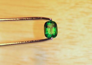 tsavorite2dss.jpg tsavorite2dss.jpg