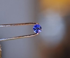 Josh Sapphire1.jpg