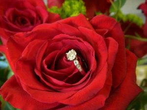 ringinmyredroseside.jpg