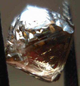 r2543a.JPG
