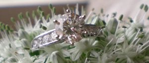 sparkler1234.jpg
