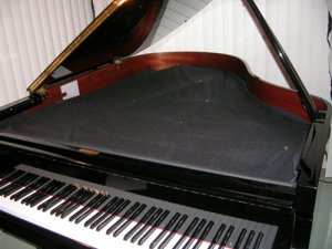DSCN5917.JPG