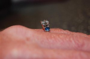 DSC_0395 (Large) (Medium).JPG