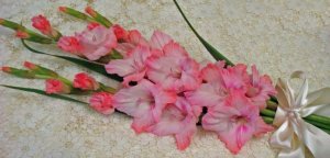 gladiolus arm bouquet.jpg