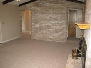 brick wall in lvg room.jpg