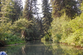 Ourcanoetripview.jpg