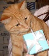 lusseymaowmaowtiffany.jpg