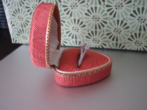 cushionladyESQering2.jpg