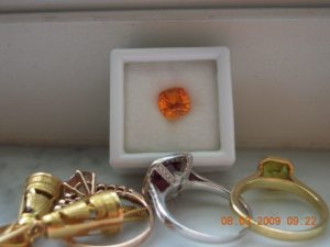 ps pictures 011.jpg