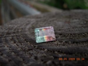 SSCN7050.JPG